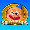 Snow Bros Image