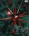 The Reap Image