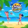 Beach Volleyball Challenge Image