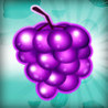 Fruit Blitz Image