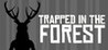 Trapped in the Forest Image