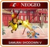 ACA NeoGeo: Samurai Shodown V Image