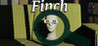 Finch Image