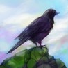 Gathering Sky Image