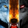 Wolf Online Image