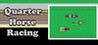 Quarter Horse Racing Image
