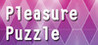 Pleasure Puzzle Image
