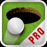 Golf Putt Pro Image