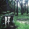 P.T. Image