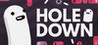 holedown Image