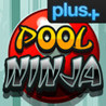 Pool Ninja Image