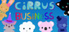 Cirrus Business Image