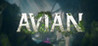 Avian Image
