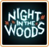 Night in the Woods