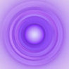 Pivotol Image