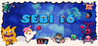 SEBI 16 Image