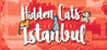 Hidden Cats in Istanbul Image