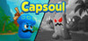 Capsoul