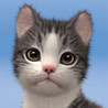 My Cat:Pet Game Simulator Image