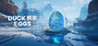 Duck Eggs