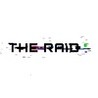 The Raid Image