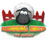 Running Sheep: Tiny Worlds Image