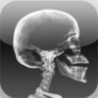 Expert Anatomy Quiz Image