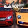 Real Driving Sim Image