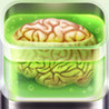 Big Brain Master Image