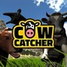 Cow Catcher Image