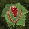 Viticulture Image