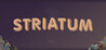Striatum