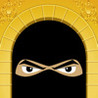 Flinders Ninjas Image