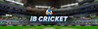 iB Cricket Image