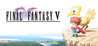 Final Fantasy V Image