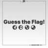 Guess the Flag! Image