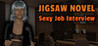 Jigsaw Novel - Sexy Job Interview Image