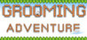 Grooming Adventure