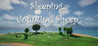 Sleeping: Counting Sheep
