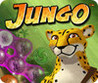 Jungo Image