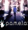 P.A.M.E.L.A. Image