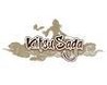 Kitsu Saga Image