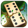 Domino Solitaire Image