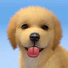My Dog:Pet Game Simulator Image