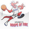 Hoops Of Fire Image