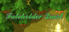 Fateholder Quest Image