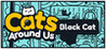 Cats Around Us: Black Cat Image