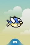 Flying Fish Image