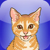 Catch The Cat! Image