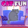 Cat Fun